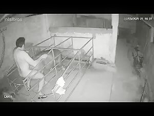 Sex Video with a Pig: An Extreme Experience