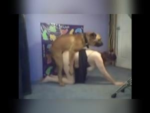 webcam - Observe the Forbidden Connection between Woman and Dog