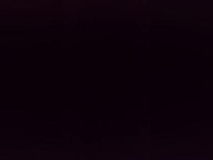 Explore the Darkness: Bestiality in its Purest Form