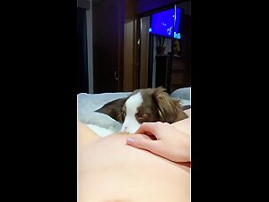 Discover the Passion of Zoophilia and Animal Sex