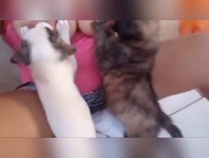 Explore Milky Delights: An Extreme and Irresistible Participation