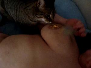 Feline Domination: His BBW Slave Serving The Dog