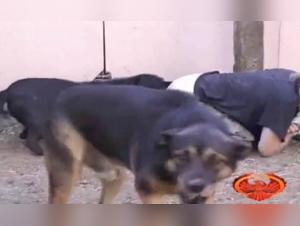 Milly, the Slave to Animal Passion