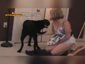 Pt.1: Canine Submission and Wild Fucking