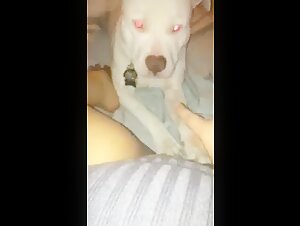 Descubre el mundo del bestialismo y el sexo extremo