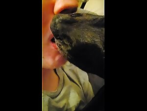 Forbidden pleasure between man and dog