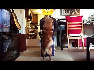 Debeystyles.de: Susse Zoo-Girls als Paar mit ihrem Hund