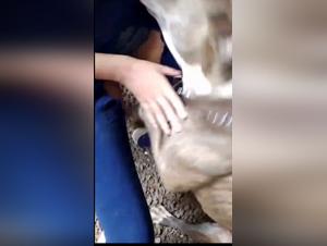 First part of a saga of forbidden and wild love