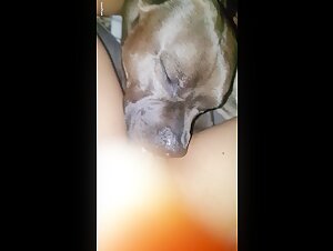 Dog sex video: an extreme experience