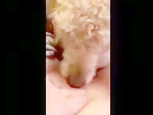 Intense bestiality scene with a dog