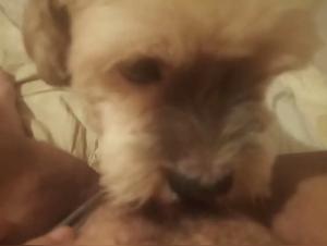 Fetish explorations: The animal act in all its sensuality