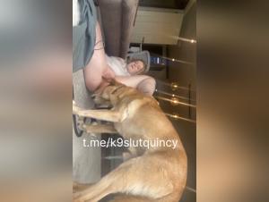 Animal intimacy, hidden secrets.