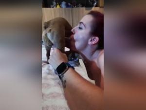 Blowjob animal: prohibited delights