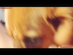 Dog Sex Video: An Intense and Unique Experience