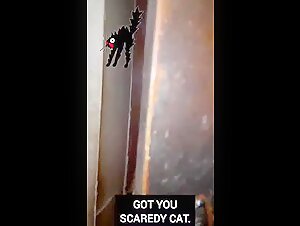 Bestiality and Extreme Sex Video