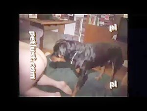 Bestiality Sex Video: Woman and Dog