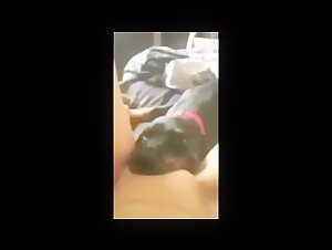 Bestiality and Zoophilia Videos