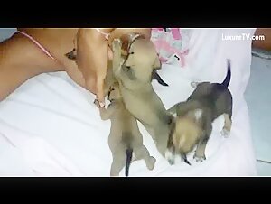 Sex videos with dogs: An extreme experience