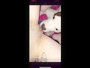 Discover Extreme Sex with W4D