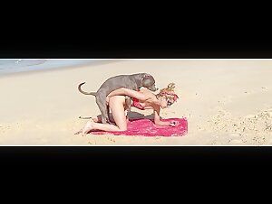 Bestial and Extreme Videos on ArtofZoo