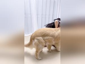 Explore the limits of pleasure with our collection of animal XXX videos.