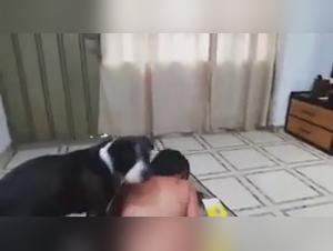 Forbidden Desire: Wild Passion and Animal Sex