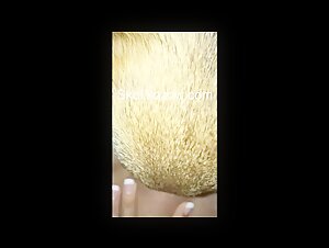 Discover the World of Hardcore Zoophilia
