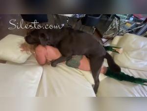 Dog unloads his cock on Veronica Silesto, an immodest show