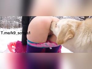 XXL Canine