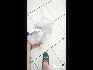 Extreme sex video with a dog and a slut