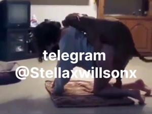 Brutal Doggy Style: Discover Wild Sexual Delirium