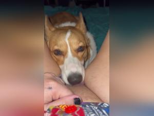 Uncontrollable froufrou: Fiery female dog fucks hard