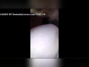 Explore the Limits: Canine Domination and Intense Lust