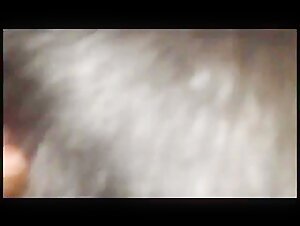 Sex video with a dog: an extreme experience