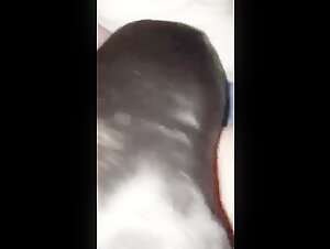 Amateur dog sex video: A bestial and unique experience