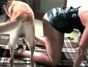 Hundedominanz: Eine Frau mit der Macht des Hundes