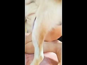 Schlampen und Hunde: Eine perverse Verbindung enthullt