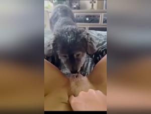 Explore the boundaries of pleasure: Canine kisses and wild romps