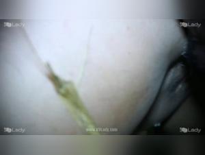 Slut Yasmin sucks her dog's dick, a moment of smoky animal pleasure
