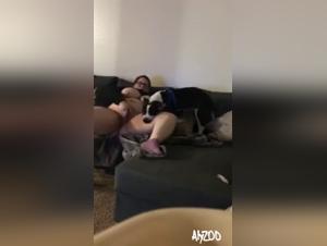 satisfy your deepest animal impulses