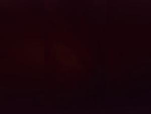 Uncontrollable Animal Desire: Unforgettable Acts of Bestiality