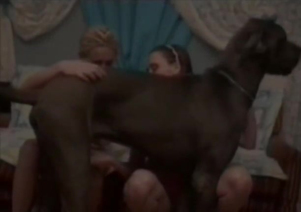 Wild Canine Fuck: Sperm and Unlimited Pleasure