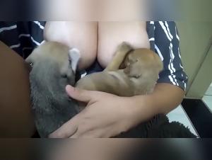Erkunden Sie die Grenzen der Ausschweifung bei Hunden