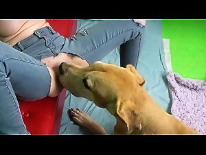A Whore's Party For His Dog