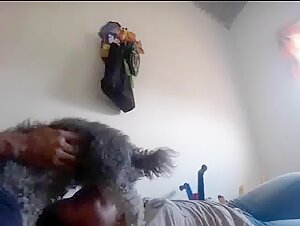 Bestiality Sex Video: An Exciting Experience