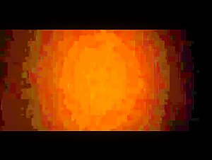 Extreme dog sex video