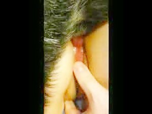 Amateur-Bestialitat-Sexvideo mit BBW-Frau und ihrem Hund