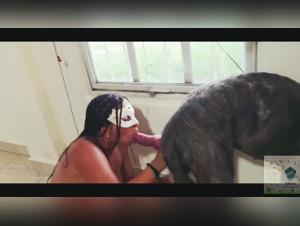 Puta sucia chupa a su perro y folla con una zorra tan gorda