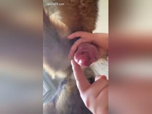 Sensory Exploration: Wild Kisses, Explosive Cumshots