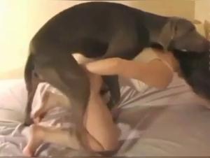Actos sexuales extremos con perros: revela los secretos de Simone
